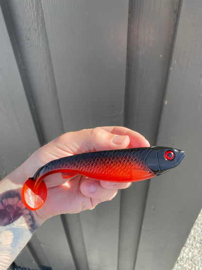 CNR Shad - 15cm