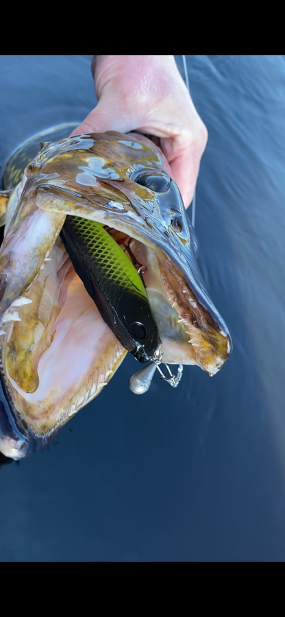 CNR Shad - 15cm