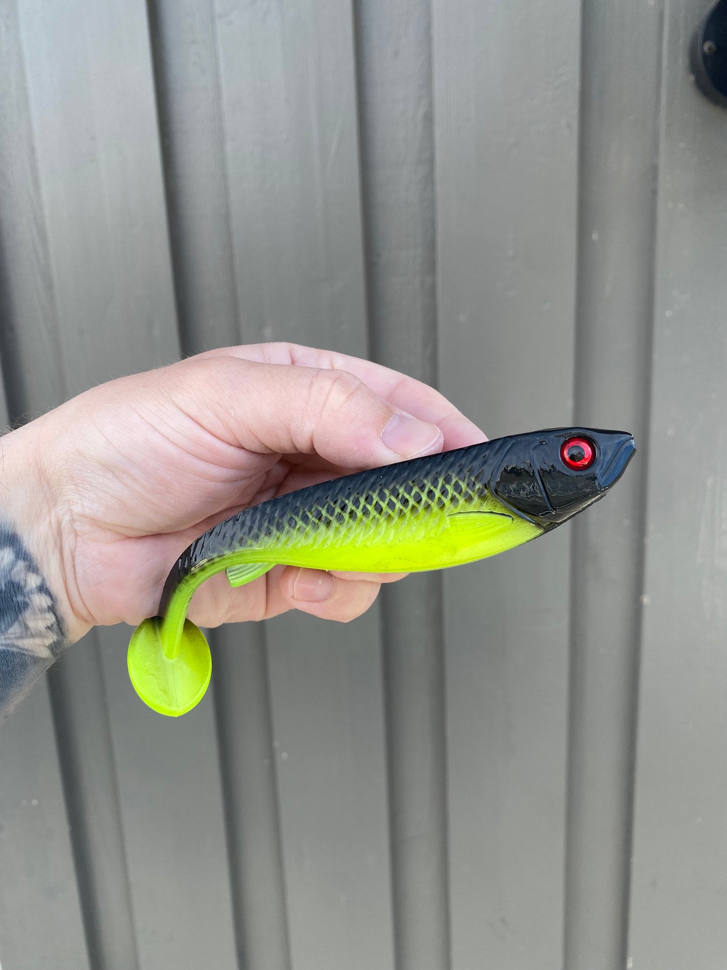 CNR Shad - 15cm