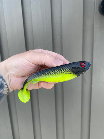 CNR Shad - 15cm